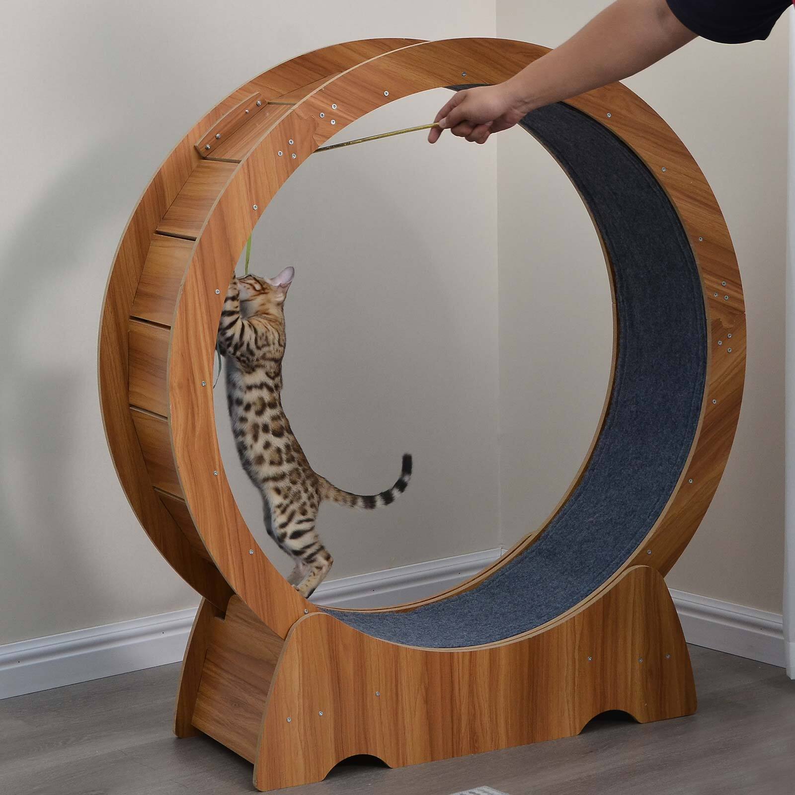 Cat Exercise Wheel Large Cat Treadmill Running Wheel Cat Toy Weight Loss Roller