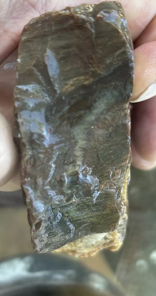 Colorful petrified wood