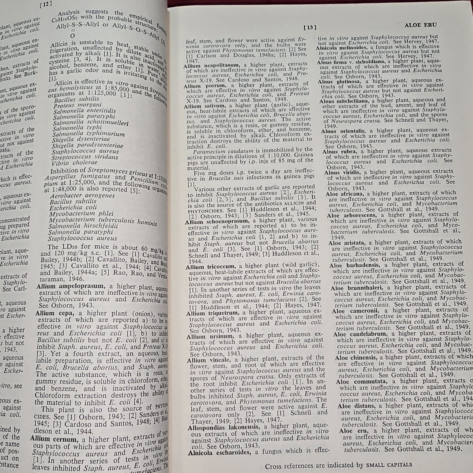 RARE Medical Book 1951 DICTIONARY OF ANTIBIOSIS-Comprehensive