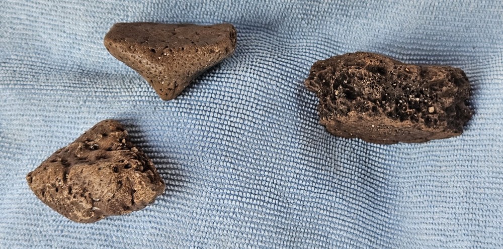 3 Authentic Florida Peace River Glyptodont Osteoderms (Scutes) Fossils 1.75-2"