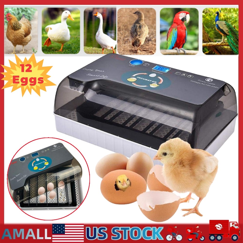 12 Egg Incubator for Hatching Eggs w/Automatic Egg Turning Temperature Control
