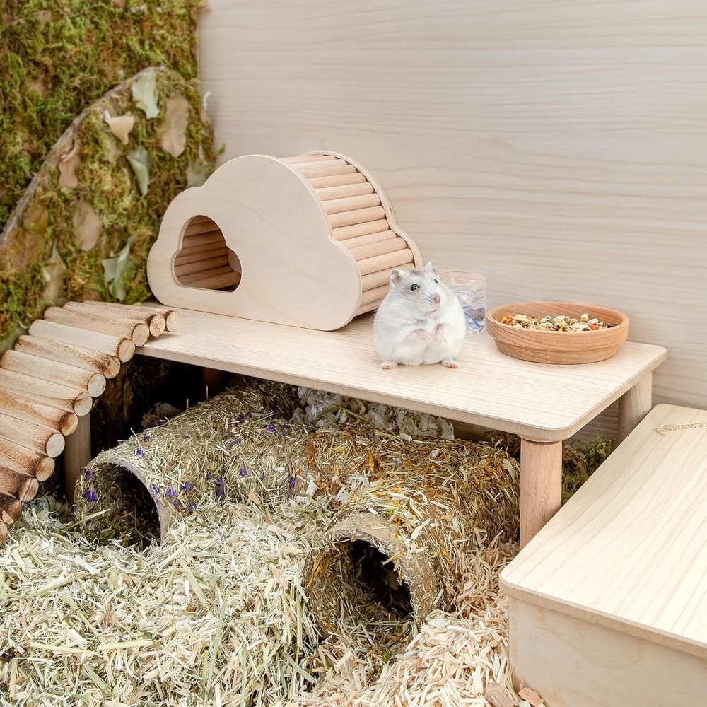 Durable 7'' Hamster Playground Platform for Gerbils, Mice & More - Easy Clean
