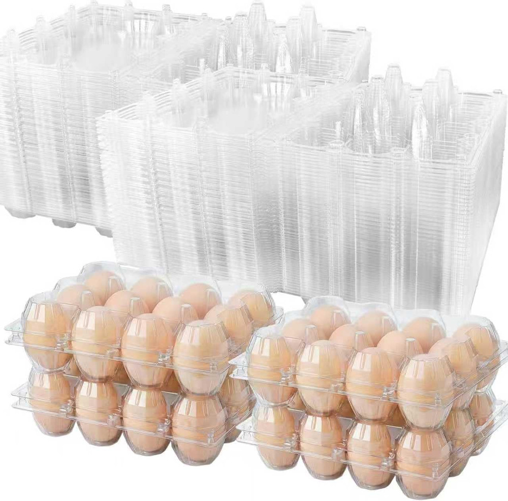 100 Pack 12 Count Plastic Egg Cartons – Bulk Cheap Clear Reusable | Egg Cartons