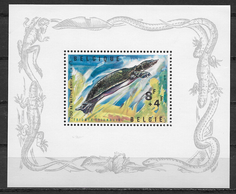 BELGIUM ,1966 , TURTLE , SOUVENIR SHEET , PERF , MNH