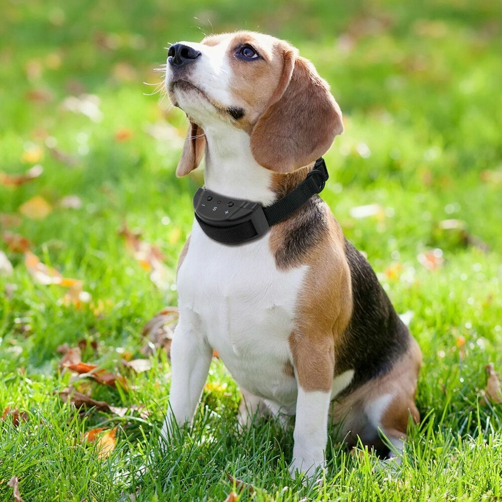 Automatic Anti Bark Barking Shock Control Collar For Small Medium Large Dog 2023
