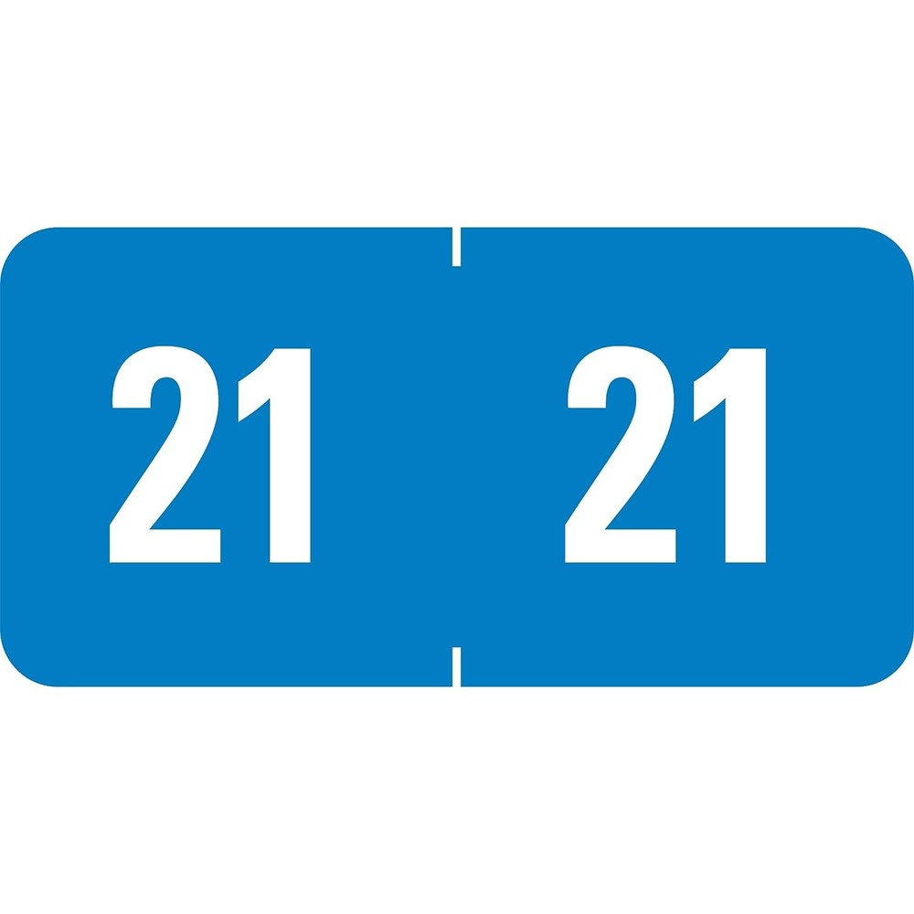 Smead ETS Color-Coded Year Label, 2021, Label Sheet, 250 Labels, Light Blue