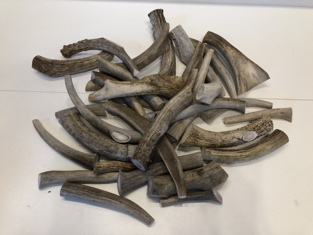 Natural Deer Antler Dog Chew Split Long Lasting Aggressive Chewer Large Medium
