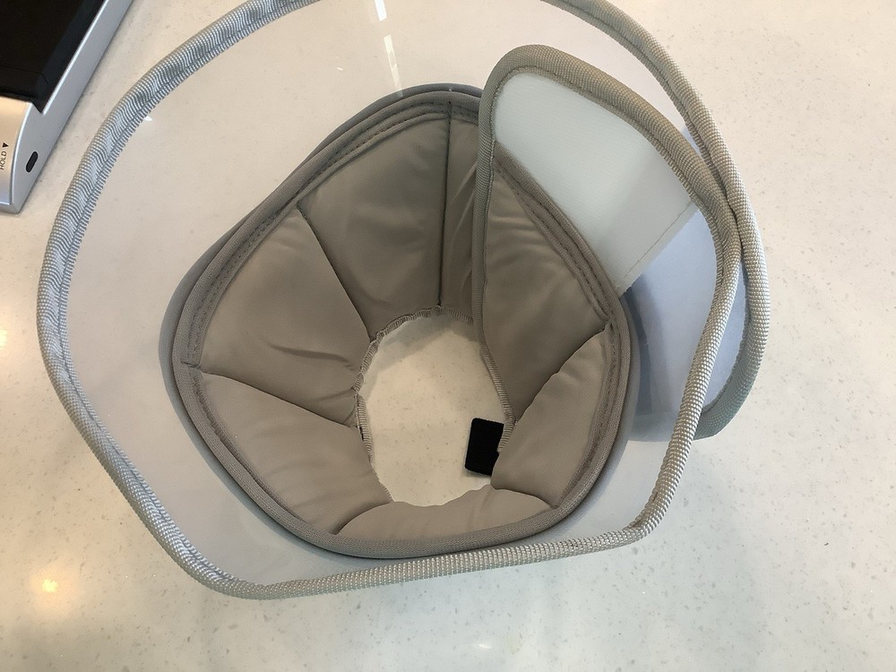 Pet Recovery Cone Small Hard Plastic Soft Polyester Inside