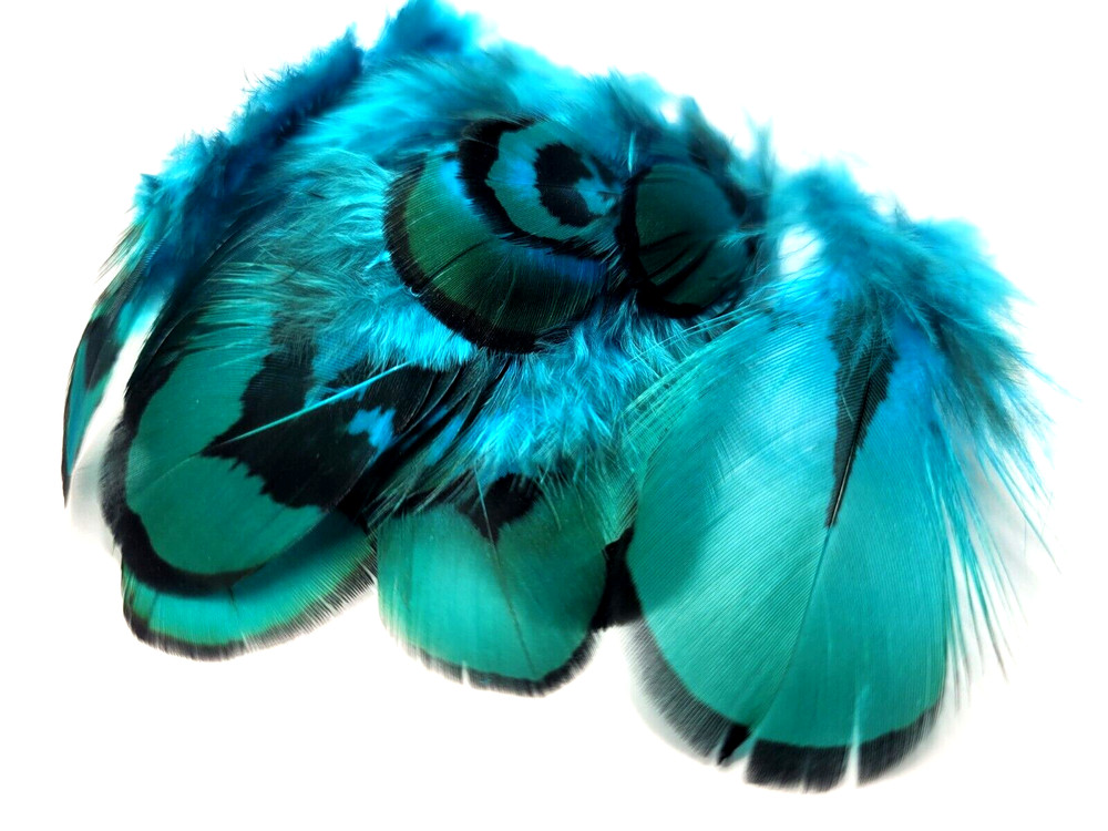 PHEASANT TAIL FEATHERS - TEAL/ TURQUOISE - Tippet - 12 pc. - Fly Tying Materials