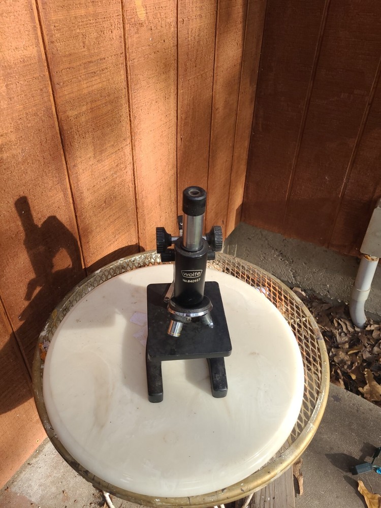 Wolfe No.840957 Microscope Vintage Japan Lab Equipment