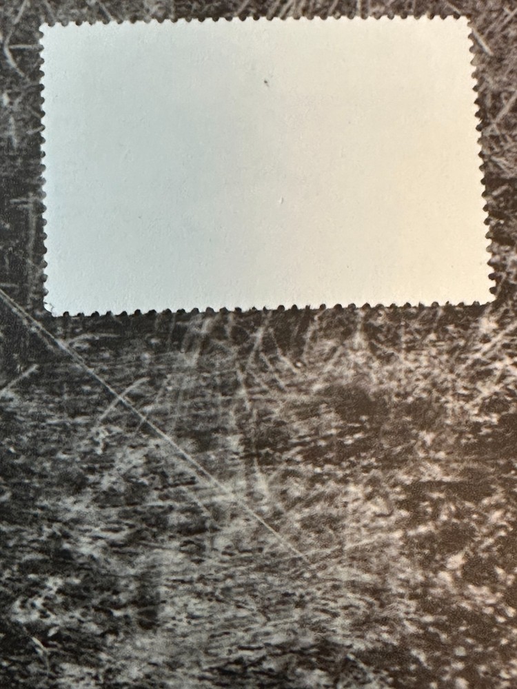 1996 Georgia State Duck Stamp,