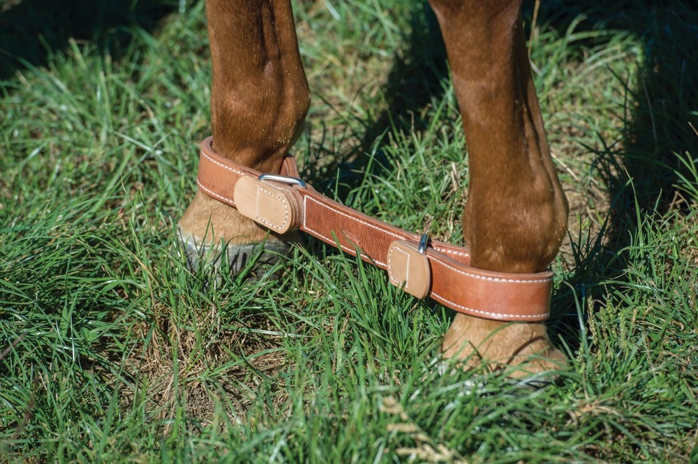 Weaver leather, Leather Hobble