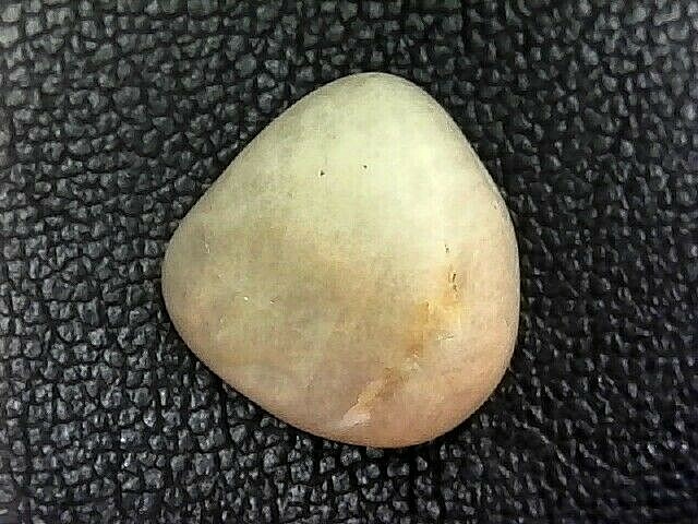 Rock Specimen #342 UNKNOWN SPECIMEN