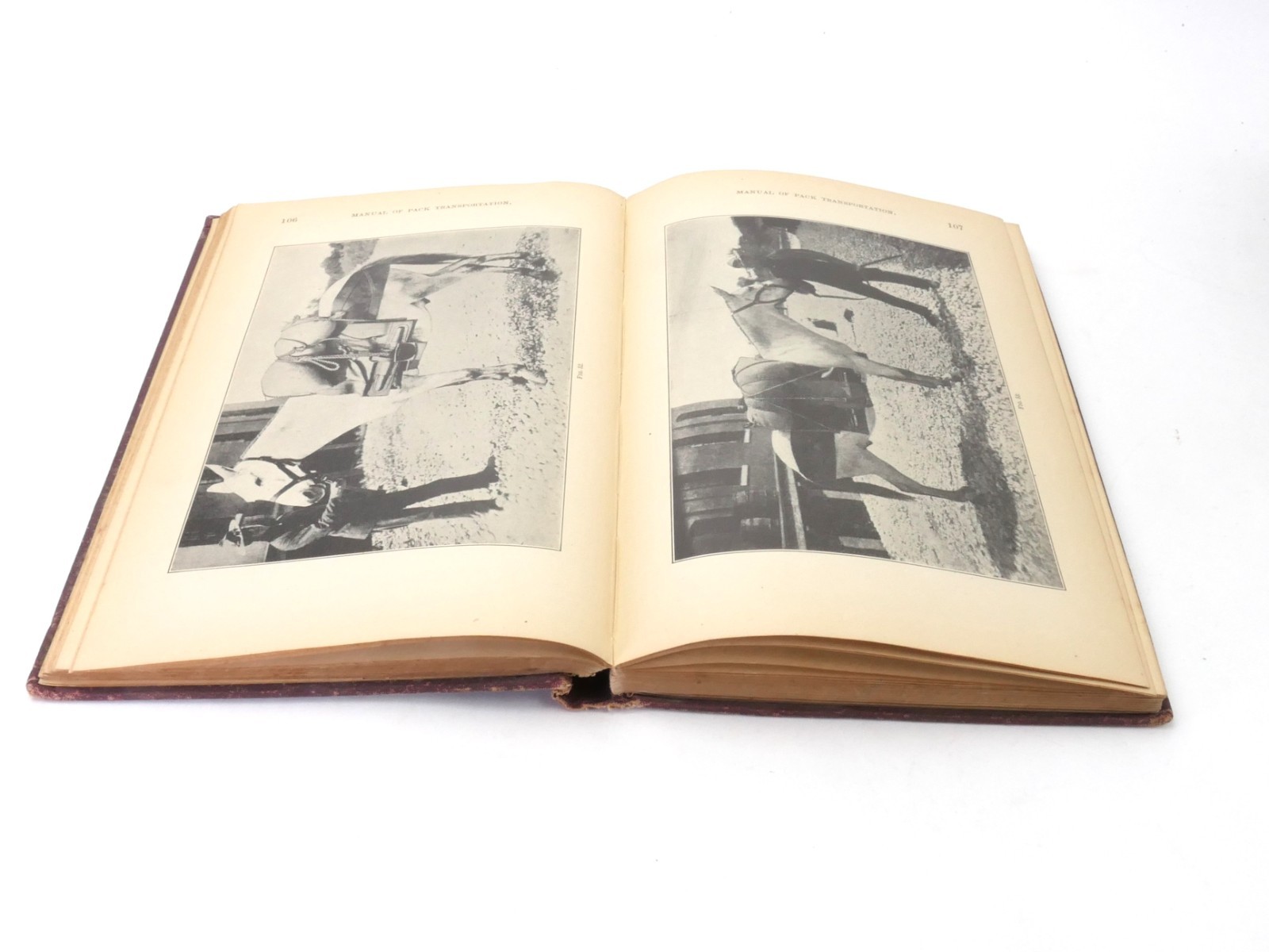 WWI US Army PACK TRANSPORTATION Quartermaster Corps 1910 Daly w/ Illustrations