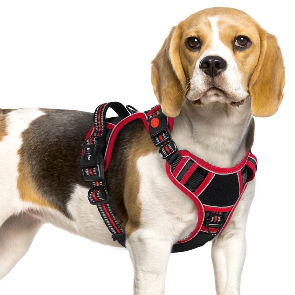 Dog Harness Small Sized, Easy Wearing with 3 Buckles, Adjustable No Pull Pet ...