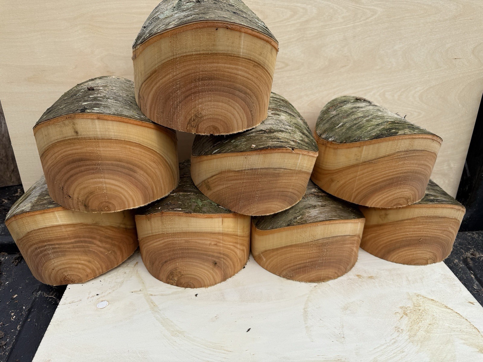 Rare Unique Natural Edge Peach  Turning Wood Bowl Blank Lathe 6”x4”