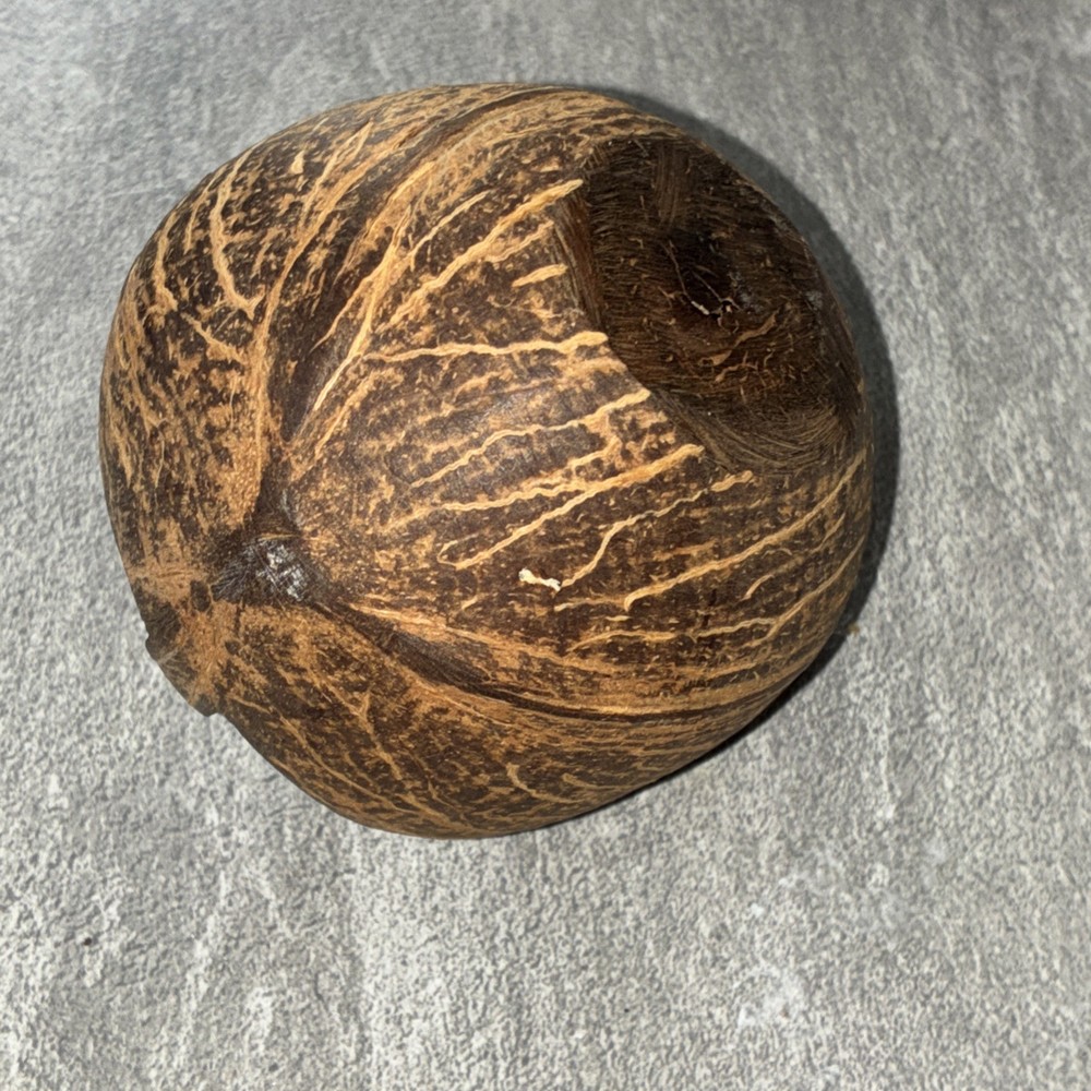 Hand Carved Coconut Shell Handled Basket
