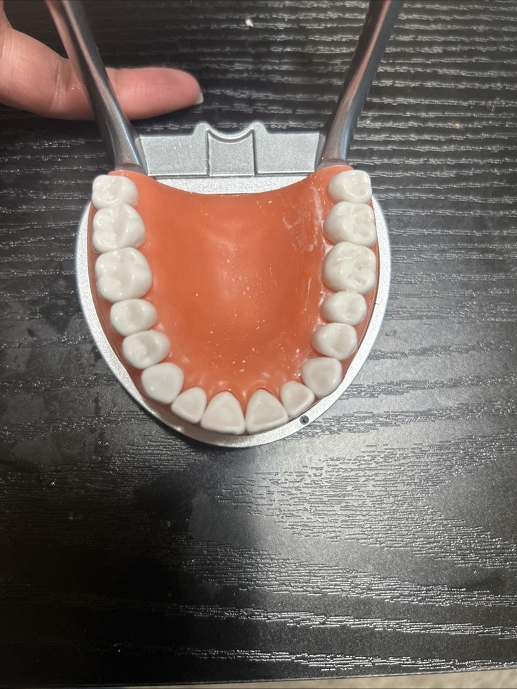 Acadental Optioned MP_R320