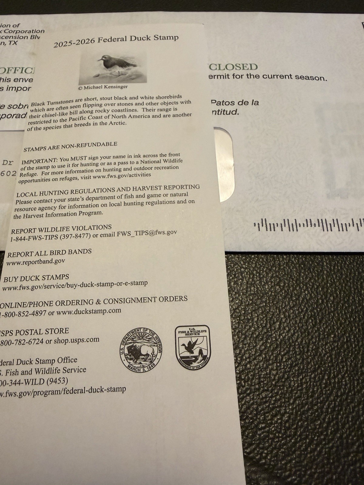 NEW Federal Duck Stamp 2025-2026 Spectacled Eider