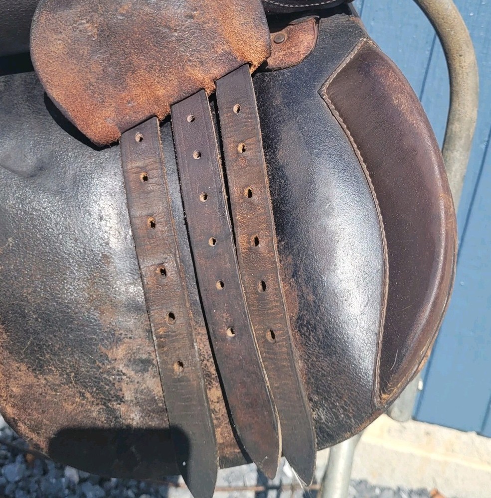 Collegiate A/P 16" Saddle