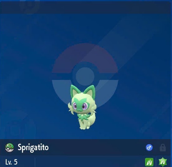 ✨SHINY STARTERS✨6IV⭐SCARLET VIOLET