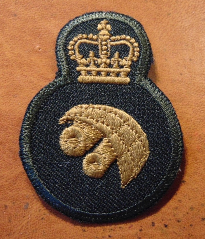 Canadian Armed Forces GEOMATIC TECH qualification trade patch badge level 3 grn