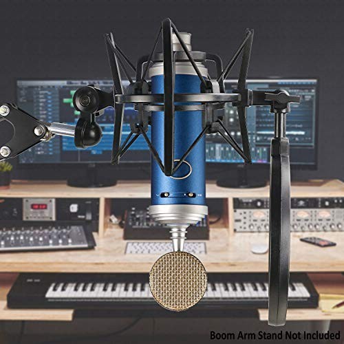 Shock Mount with Pop Filter & Windscreen for Bluebird SL Microphone - Vibration