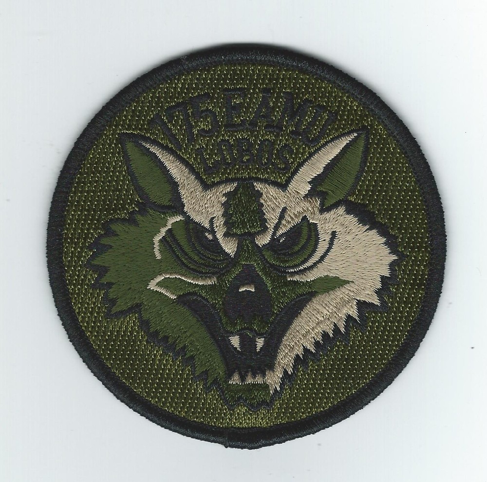 175th EXPEDITIONARY FIGHTER SQUADRON "LOBOS" (OCP) patch