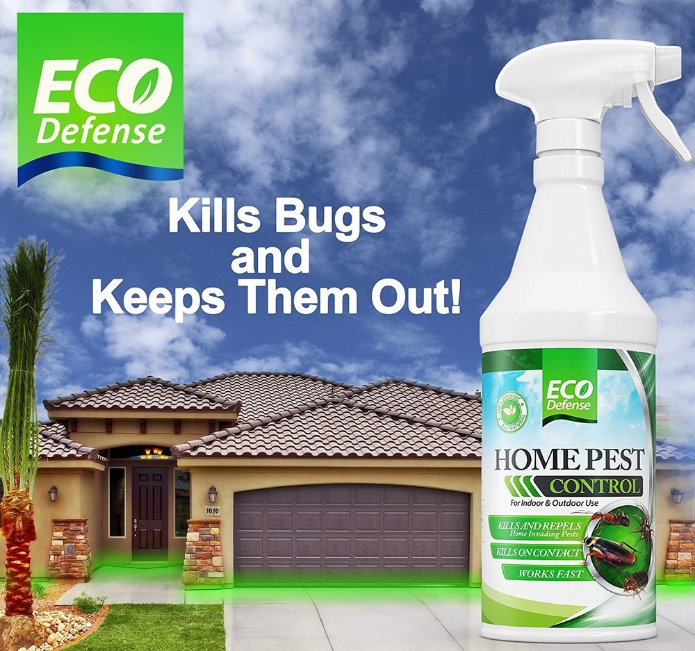 Safe Home Bug Control - Natural Ant, Roach, Spider Repellent