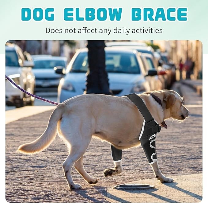 Dog Elbow Protector for Pets Elbow Dysplasia, Shoulder Dislocation - LARGE
