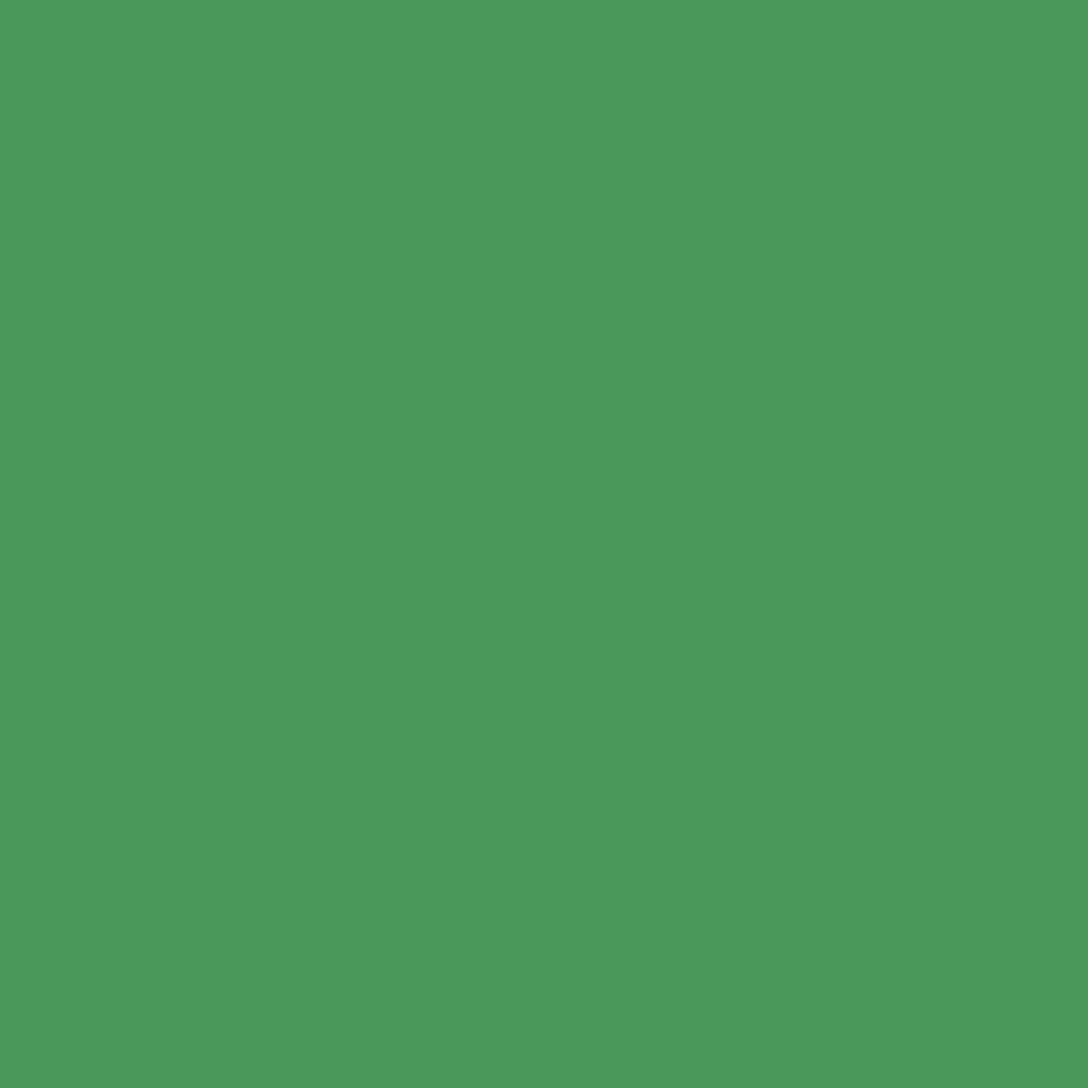 Tulip One-Step Tie-Dye Kit Dye Refill Packs, Green