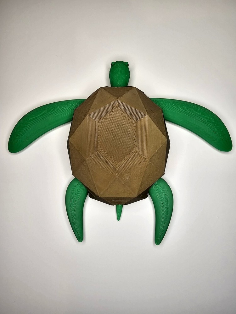 Sea Turtle 3D Printed Articulated
