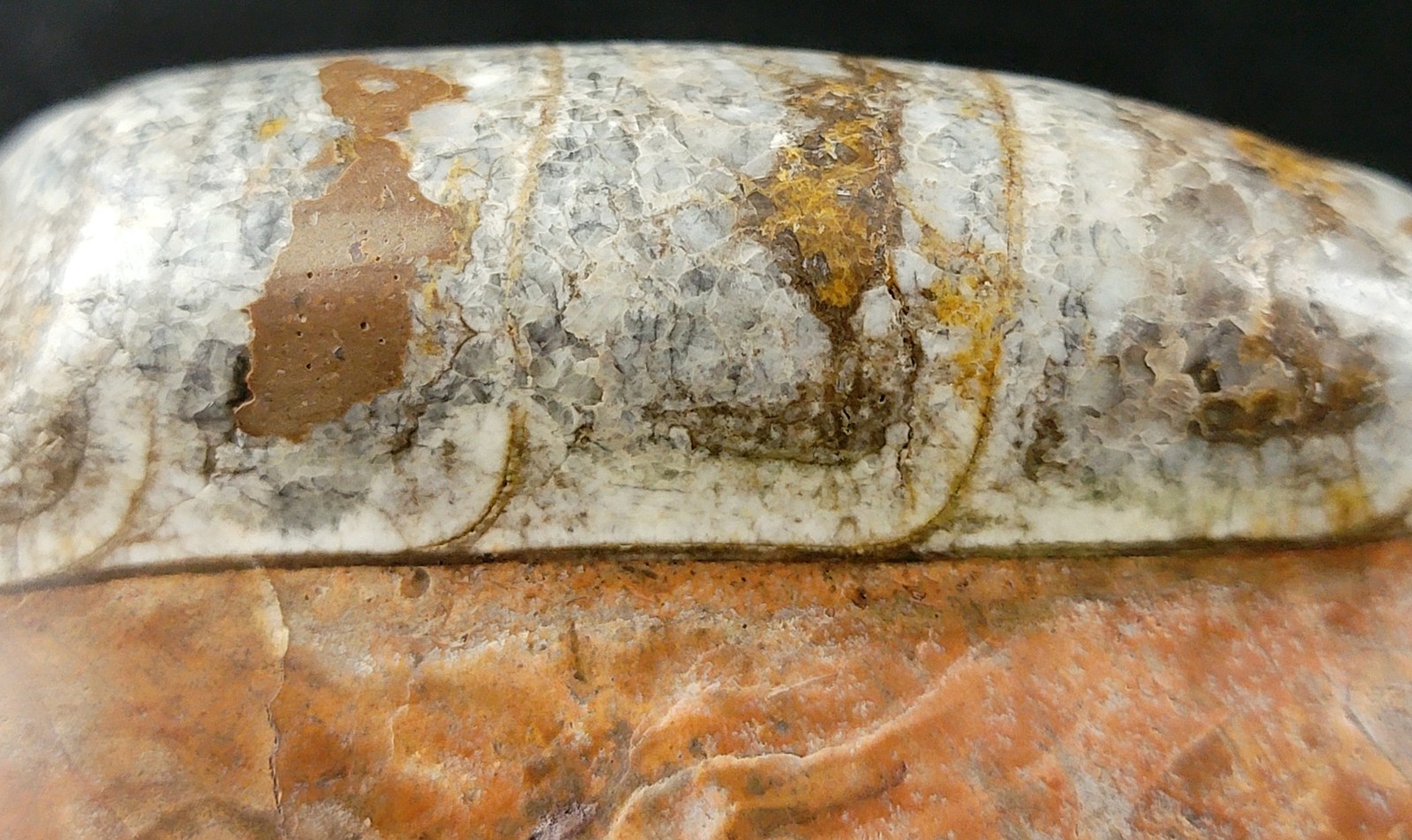 Vintage Ancient Orthoceras Squid Shell Fossil Morocco Approx 3.5" & 4.5" Lot of