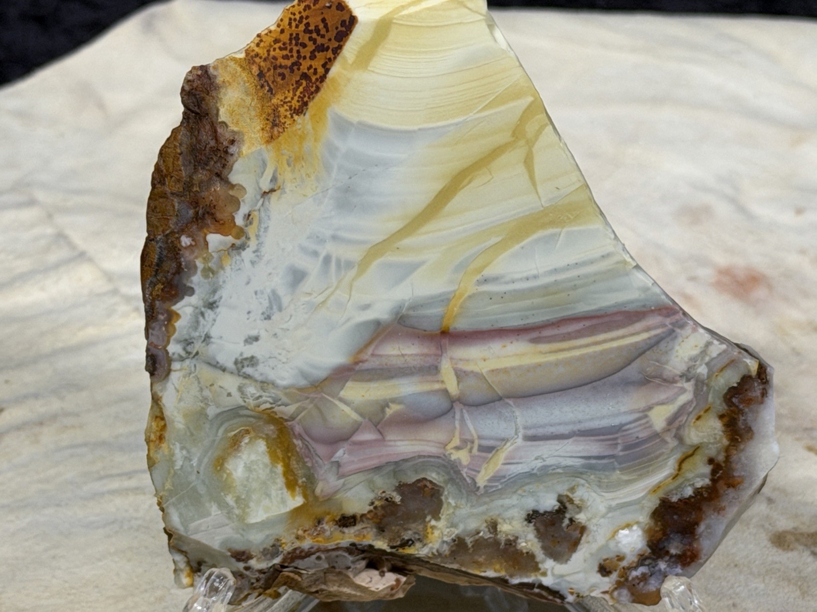 Willow Creek Jasper Slab, Lot #302