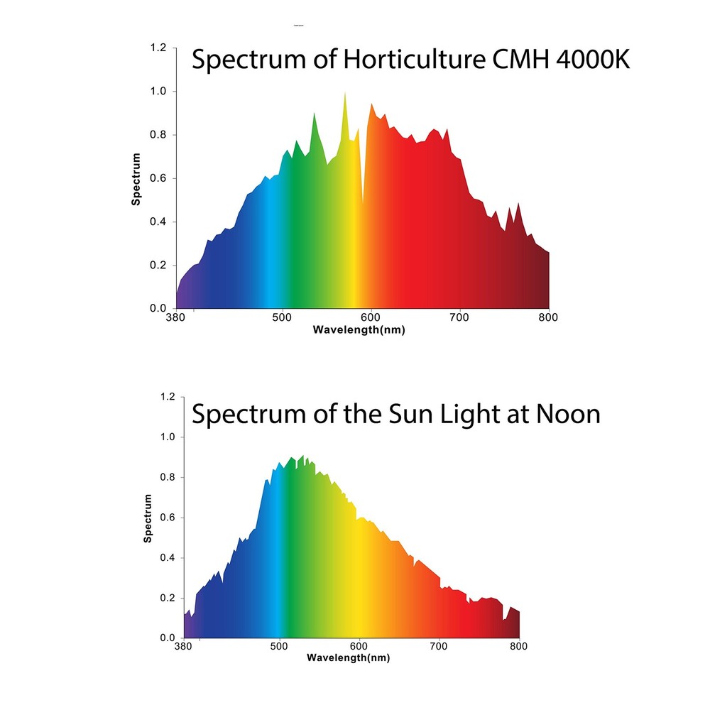 Horticulture Ceramic Metal Halide