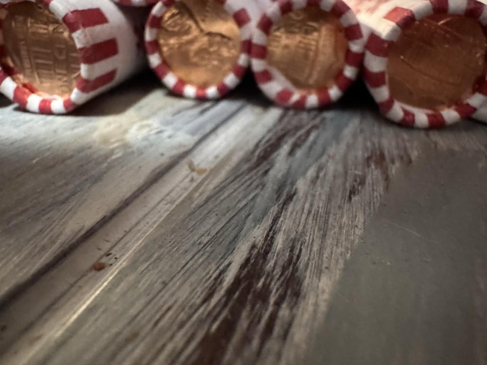 2013-D Gem Red BU Lincoln Shield Cent/Penny US Mint Roll