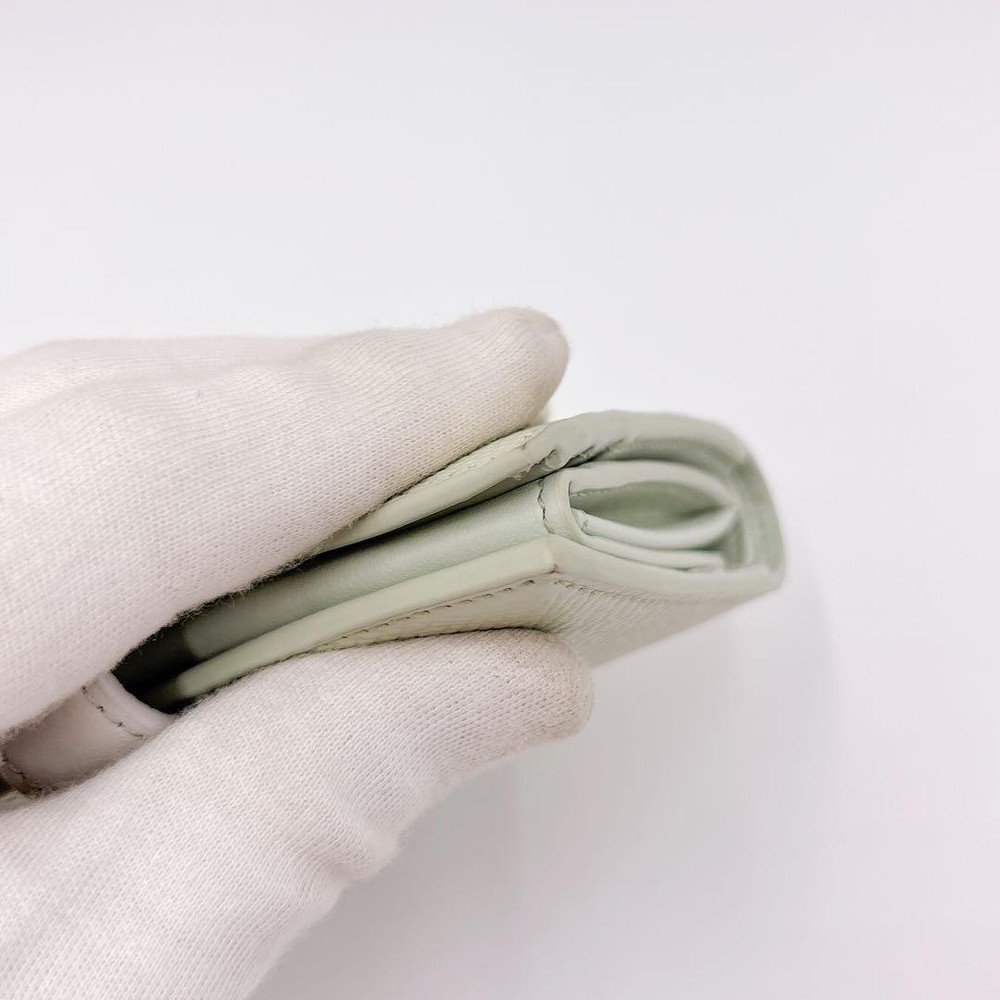 Item CELINE Small Strap Wallet Green From Japan
