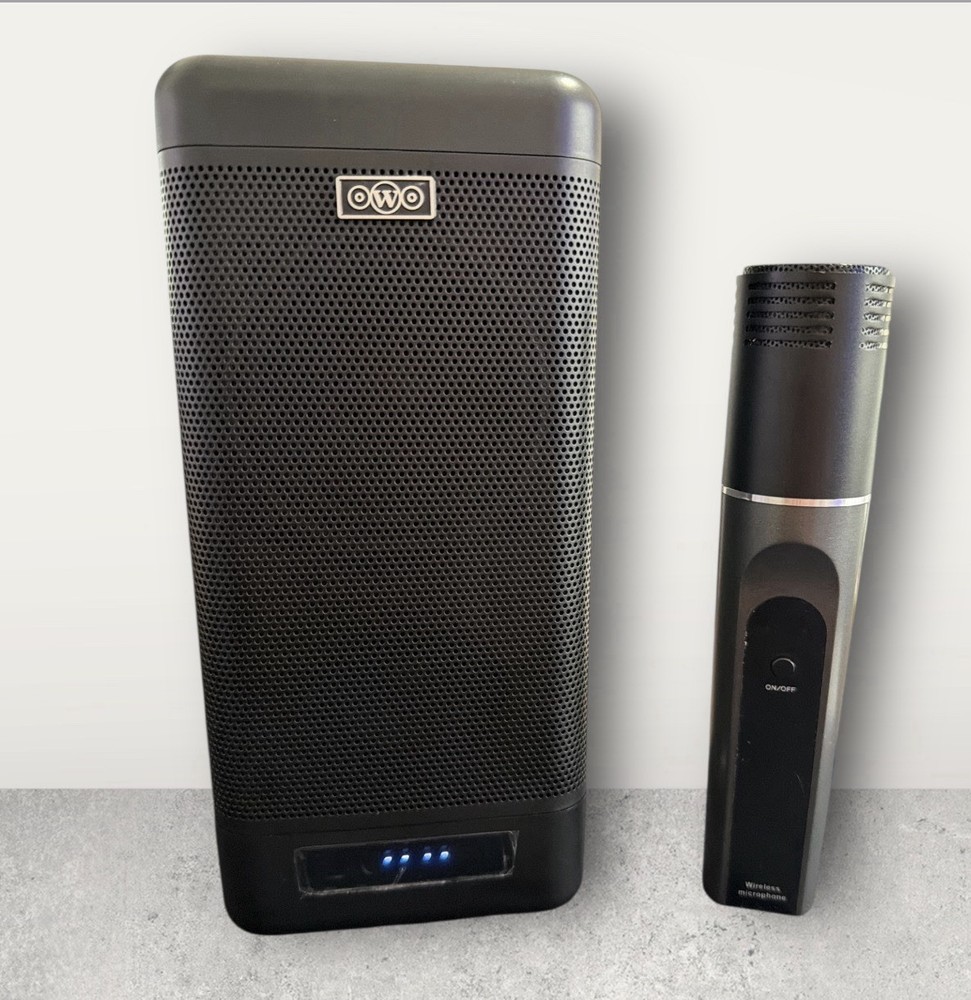 W300 OWO Speaker Karaoke Wireless Bluetooth  Microphone