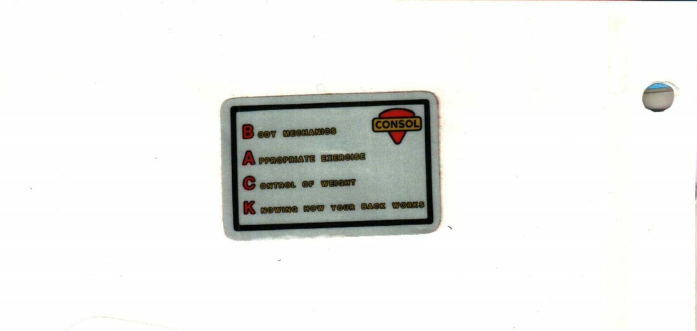 NICE SAFETY CONSOL COAL CO. COAL MINING STICKER # 492