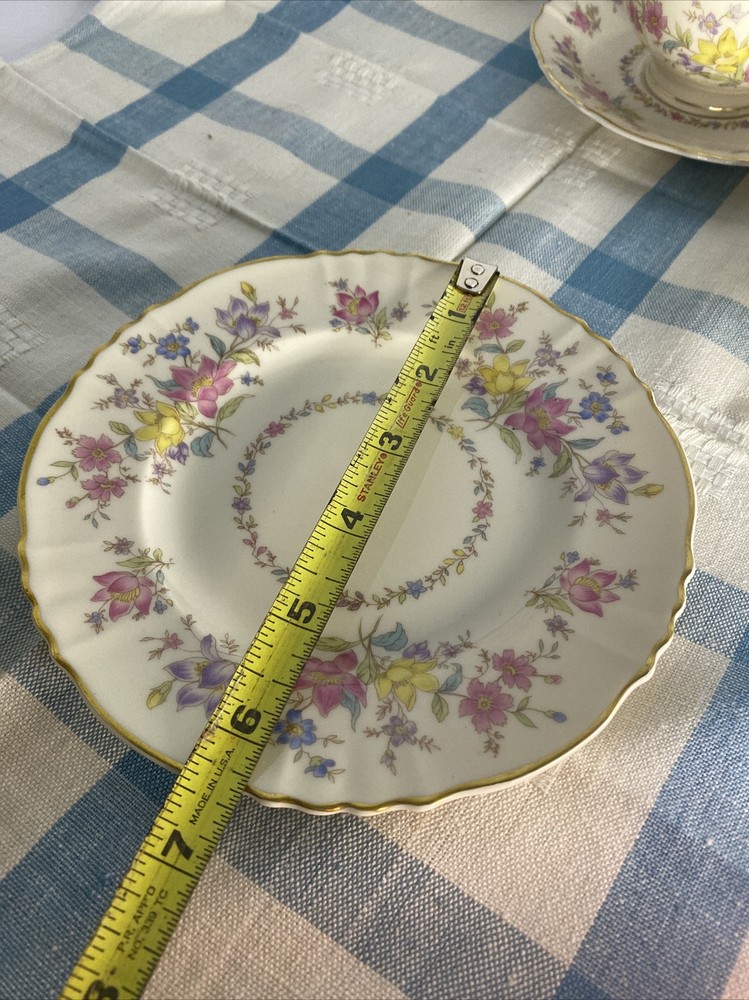 Federal shape Syracuse china briarcliff 1 place setting 7 pieces