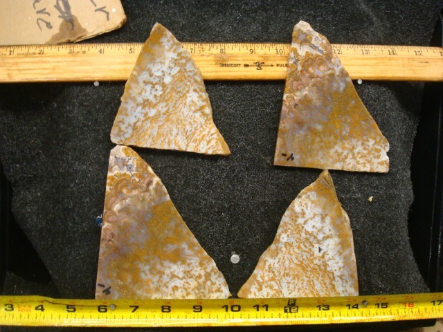 riveria plume slabs