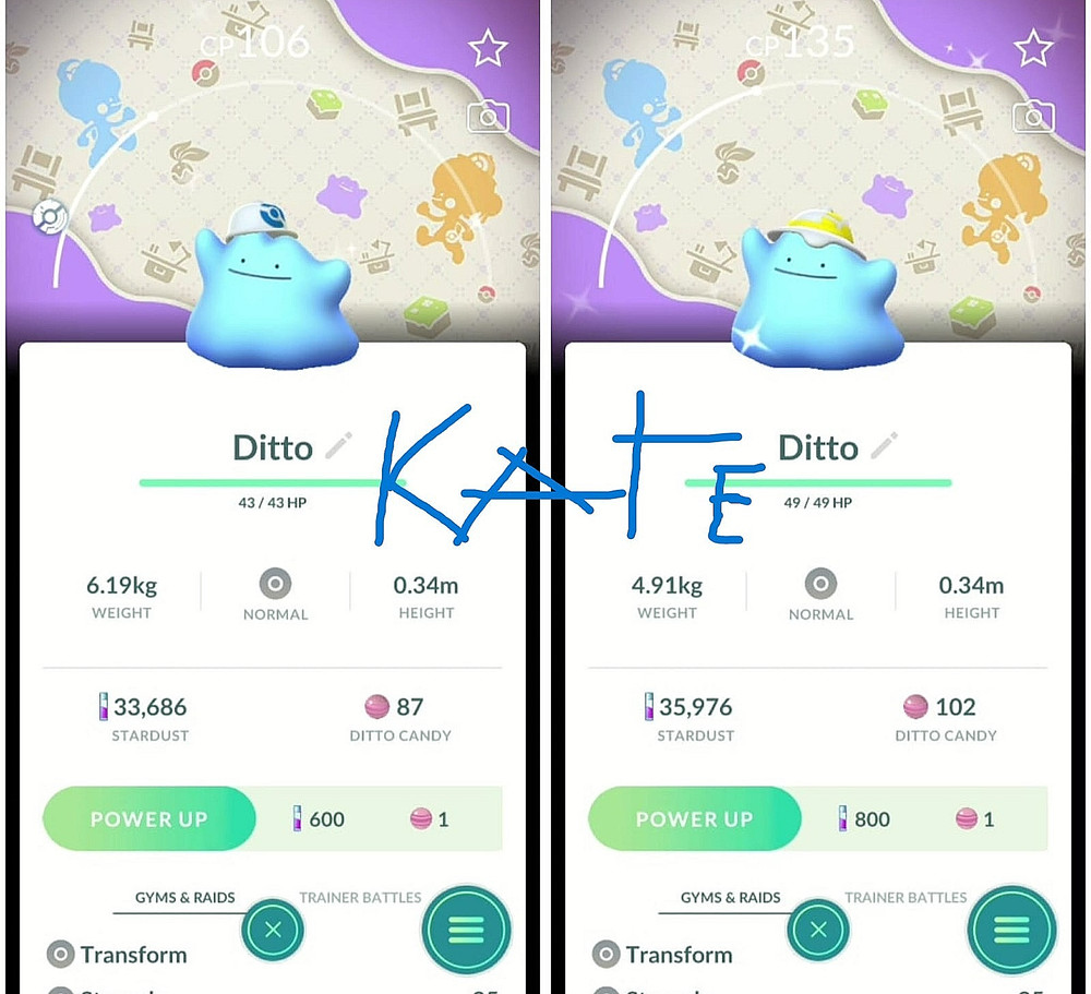 ✨Shiny Ditto Blue Cap and Yellow Hat ✨ Special Background ✨- PTC