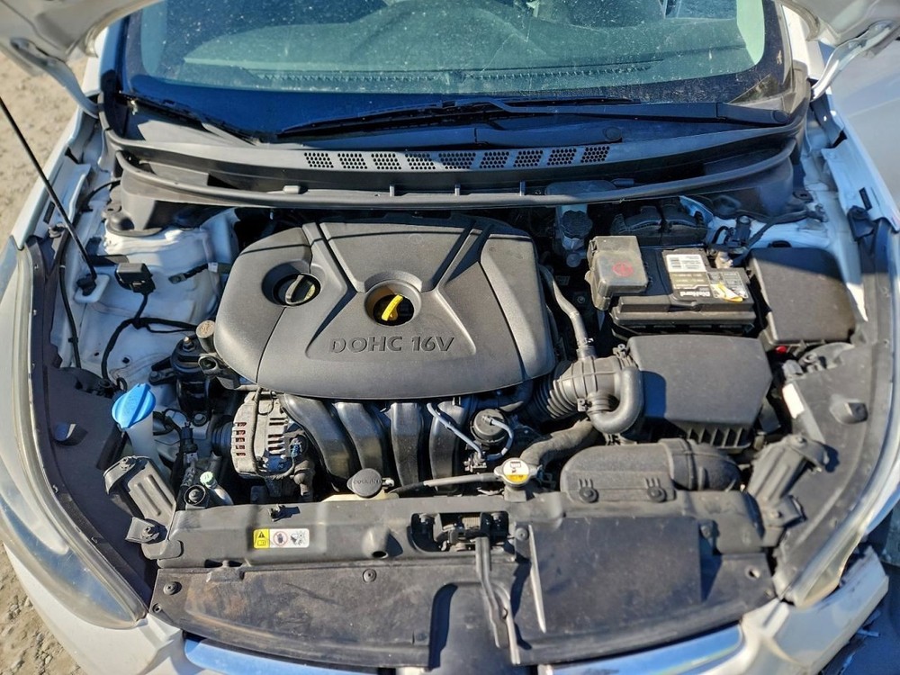 ELANTRA 2015 Glove Box 4952123