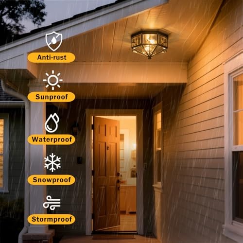 Flush Mount Ceiling Light Fixture, 2-Light Copper Outdoor Ceiling Standard