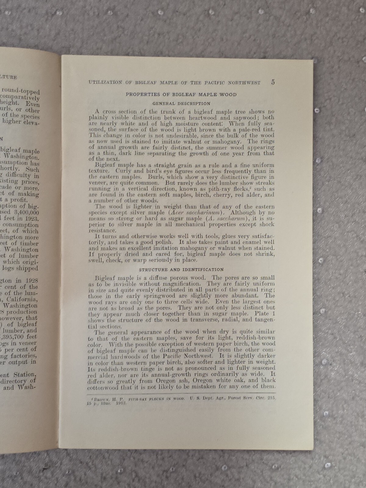 United States Department Of Agriculture - Circular No. 225 - 1932 -Bigleaf Maple