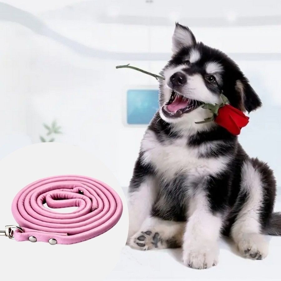 Xander Rey Pink Leather Dog Leash Gift Packaged