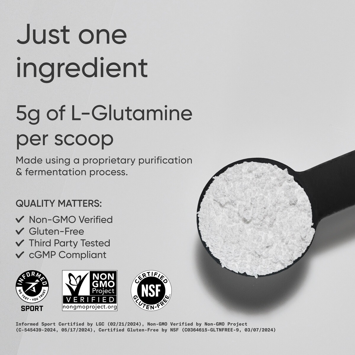 L-Glutamine (60 servings) - 300g