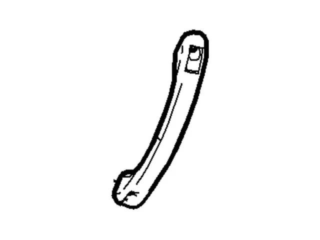 Genuine Ford Interior Grab Bar 4L5Z1031406AAB