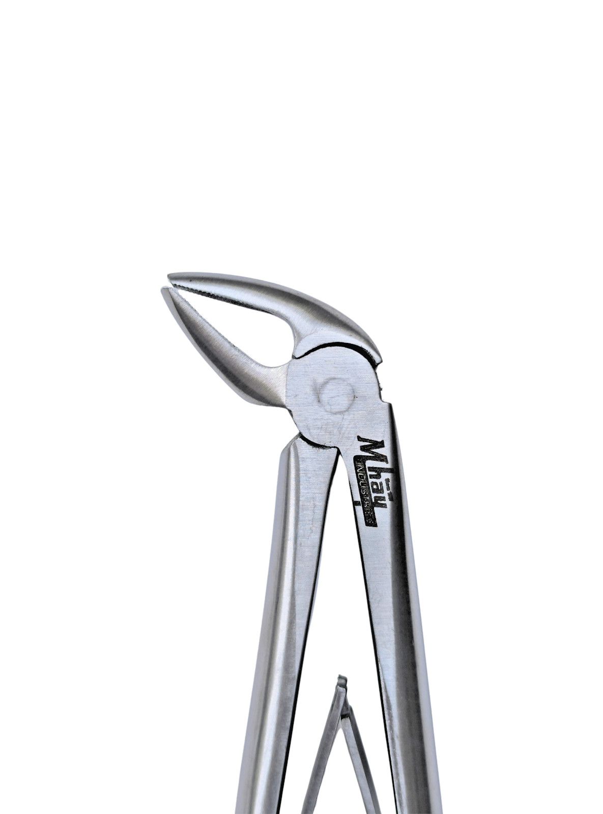 Dental Extraction 45° Curved Forceps 8" (Open)