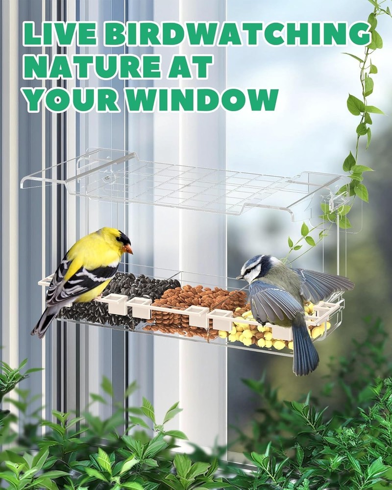 Clear Window Bird Feeder Outdoors - Bird Feeder for Viewing with 5 Perching Stan